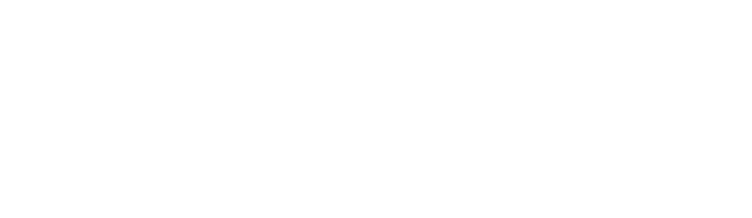 Leonine Studios